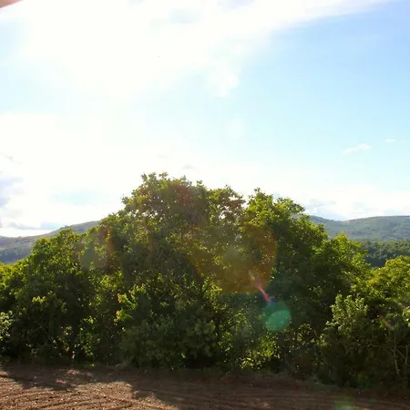 Alojamento de Turismo Rural Casa Da Barriada I *